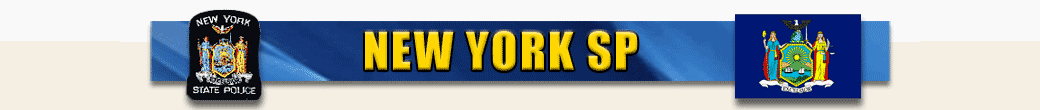 New York banner image